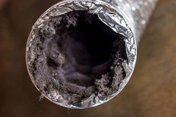 Best Best Air Duct Cleaning Company  in Web, AL