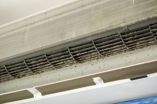 Best Air Duct Cleaning Near Me  in Web, AL