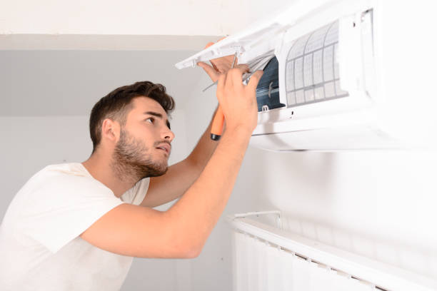Best Local Air Duct Cleaning Services  in Web, AL